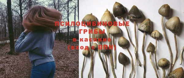 COCAINE Михайловск