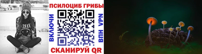 купить  сайты  Белокуриха  Галлюциногенные грибы мухоморы 
